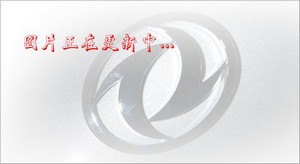 ���ǰ�ĺ�˸��g����Ʒ��ʽ�\ݔ܇